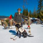 Hund mit Startnummer beim Nostalgie-Skirennen 2014 in Wagrain